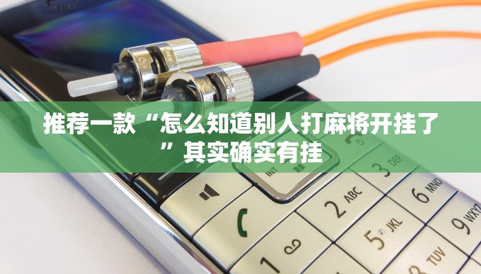 教程辅助!“哈灵麻将必赢神器”其实确实有挂