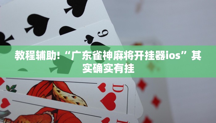 推荐一款“微乐双扣辅助神器开挂”其实确实有挂
