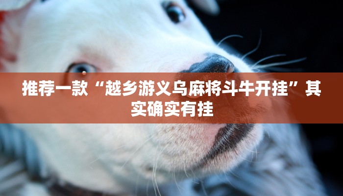 教程辅助!“微乐麻将神器免费下载”其实确实有挂