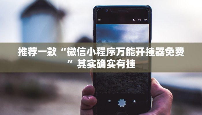 推荐一款“大懒人娱乐斗十四挂”其实确实有挂