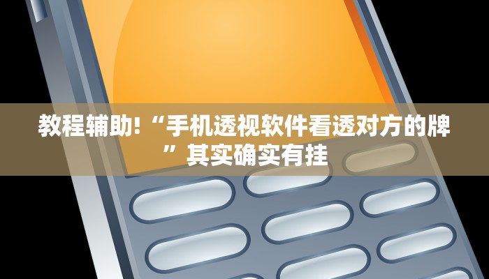教程辅助!“鑫豪天地透视”其实确实有挂