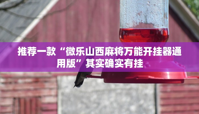 教程辅助!“新九哥大厅透视辅助最新”其实确实有挂