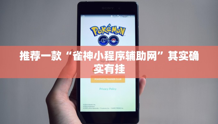 推荐一款“雀神小程序辅助网”其实确实有挂