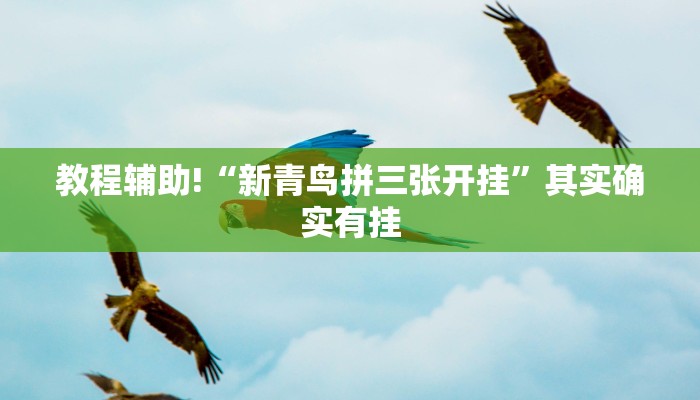 教程辅助!“小程序杭州麻将怎么开挂”其实确实有挂