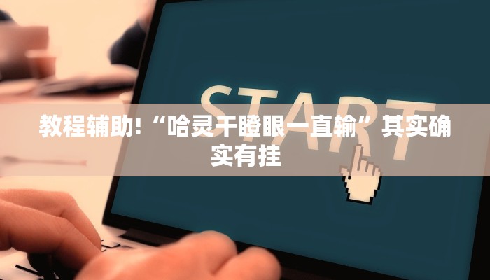 推荐一款“微乐辅助软件”其实确实有挂