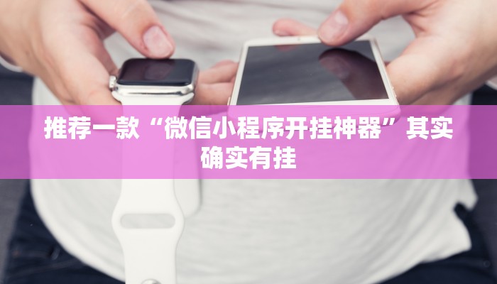 推荐一款“微信小程序开挂神器”其实确实有挂