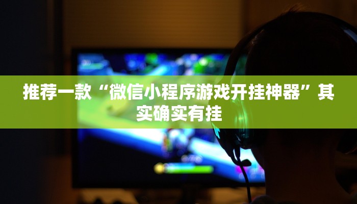 教程辅助!“鑫豪天地透视”其实确实有挂