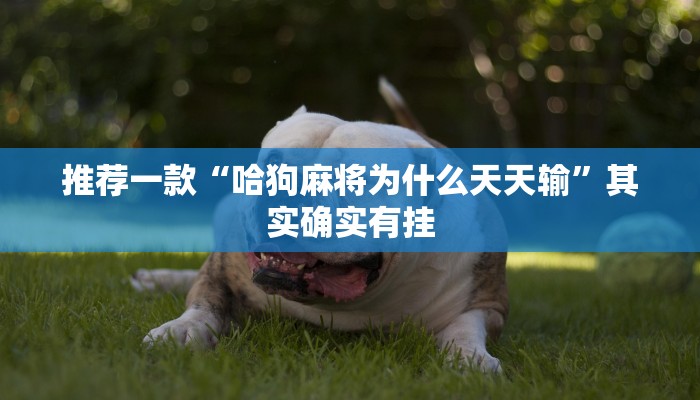 推荐一款“麻将开挂怎么看的出来”其实确实有挂
