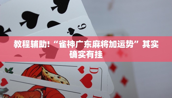 教程辅助!“雀神广东麻将加运势”其实确实有挂