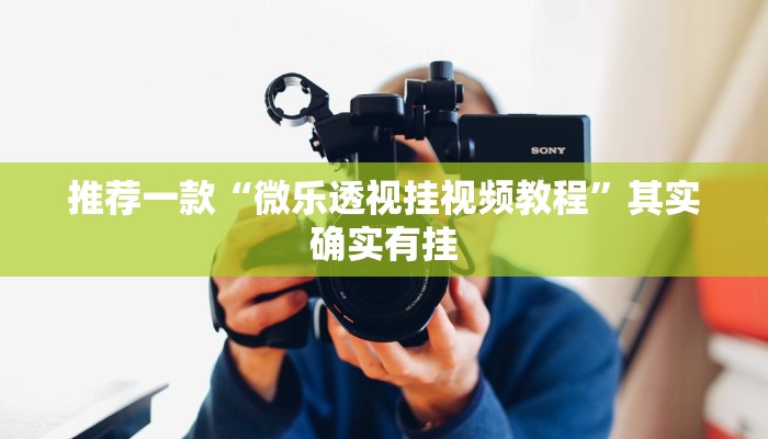 推荐一款“微乐透视挂视频教程”其实确实有挂