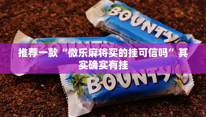 推荐一款“微乐辅助神器开挂有风险吗”其实确实有挂