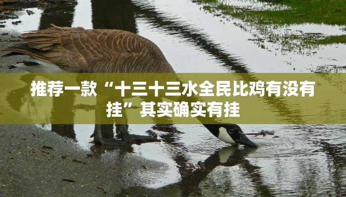 推荐一款“十三十三水全民比鸡有没有挂”其实确实有挂