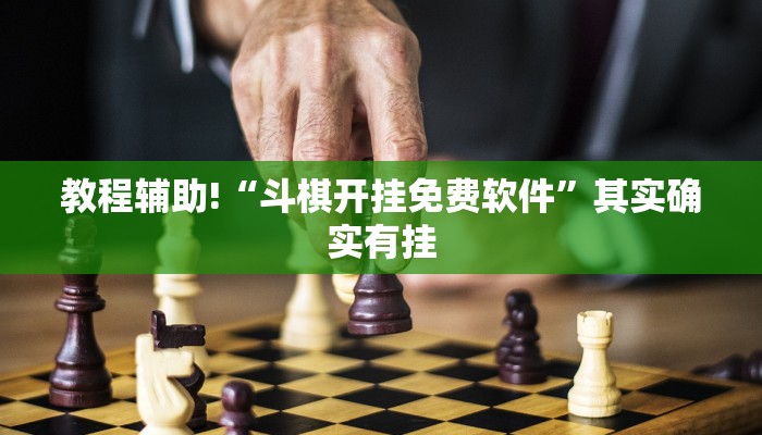 教程辅助!“斗棋开挂免费软件”其实确实有挂