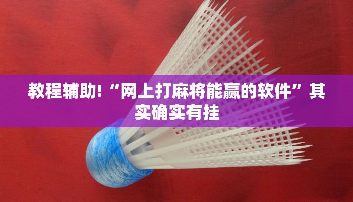 教程辅助!“网上打麻将能赢的软件”其实确实有挂