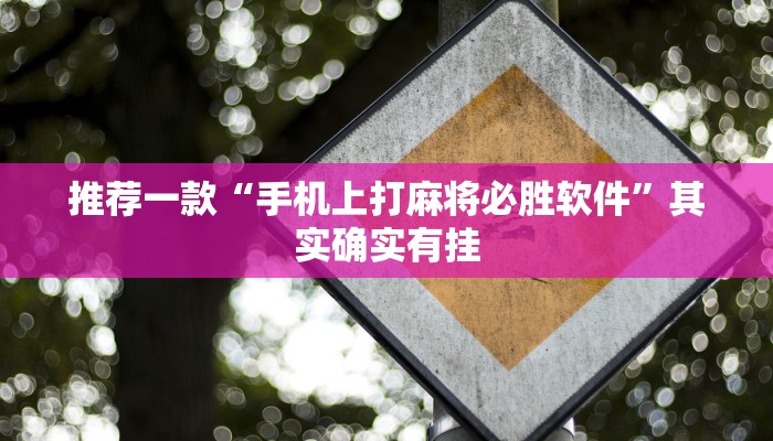 推荐一款“鑫豪天地透视”其实确实有挂