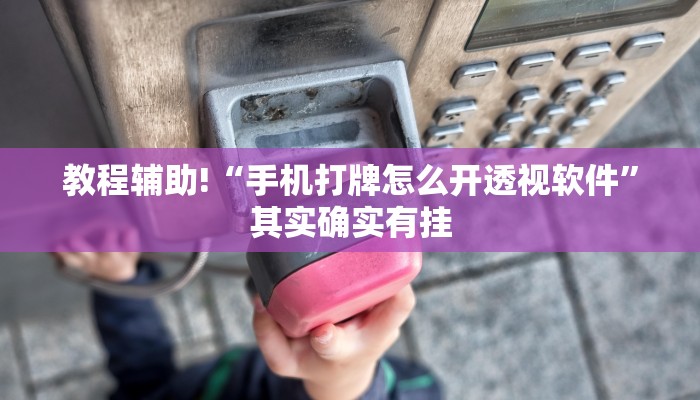 教程辅助!“手机打牌怎么开透视软件”其实确实有挂