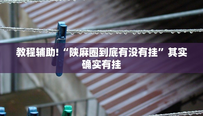 教程辅助!“陕麻圈到底有没有挂”其实确实有挂