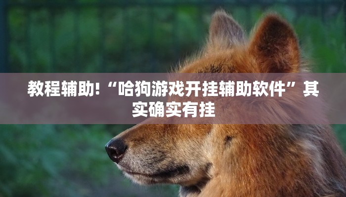 教程辅助!“微信决胜麻将开挂神器软件下载”其实确实有挂