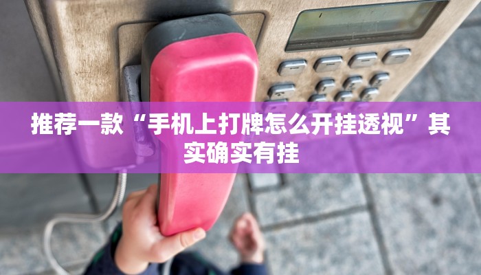 推荐一款“手机上打牌怎么开挂透视”其实确实有挂