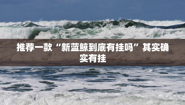 推荐一款“新蓝鲸到底有挂吗”其实确实有挂