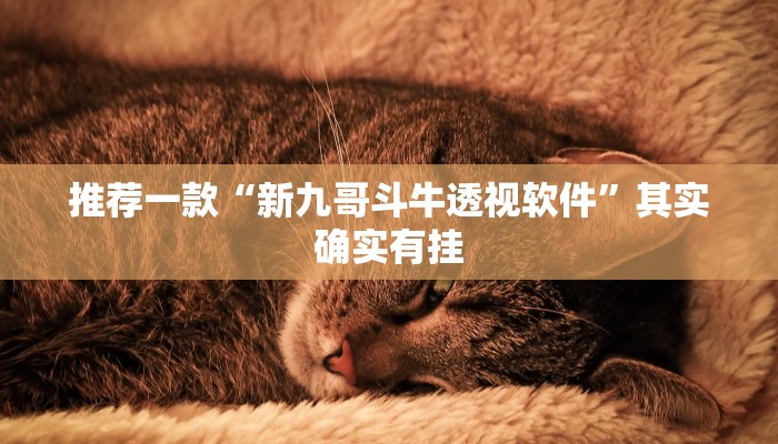 推荐一款“新九哥斗牛透视软件”其实确实有挂