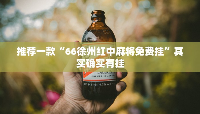 推荐一款“66徐州红中麻将免费挂”其实确实有挂