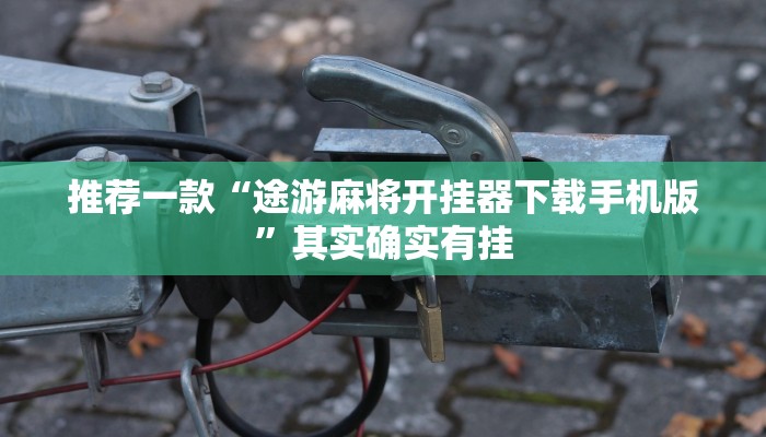 推荐一款“途游麻将开挂器下载手机版”其实确实有挂