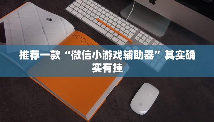 推荐一款“微信小游戏辅助器”其实确实有挂