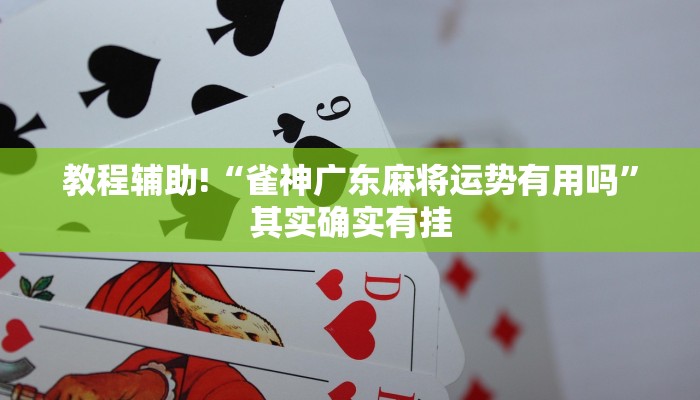 教程辅助!“雀神广东麻将运势有用吗”其实确实有挂
