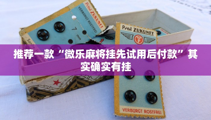 推荐一款“微乐麻将挂先试用后付款”其实确实有挂