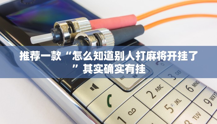 推荐一款“怎么知道别人打麻将开挂了”其实确实有挂