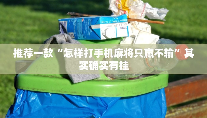 推荐一款“怎样打手机麻将只赢不输”其实确实有挂