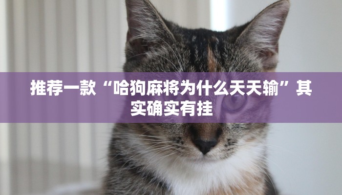 推荐一款“哈狗麻将为什么天天输”其实确实有挂