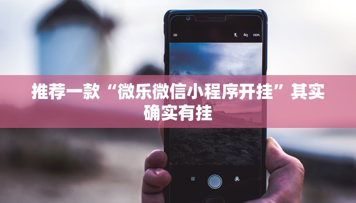 推荐一款“微乐微信小程序开挂”其实确实有挂