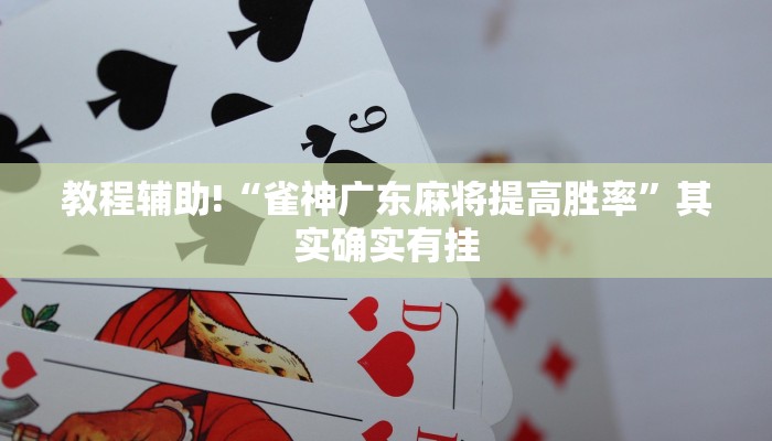教程辅助!“雀神广东麻将提高胜率”其实确实有挂