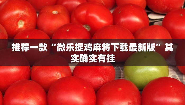 推荐一款“微乐捉鸡麻将下载最新版”其实确实有挂