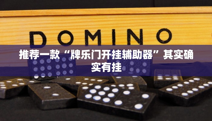 推荐一款“牌乐门开挂辅助器”其实确实有挂