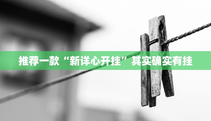 推荐一款“新详心开挂”其实确实有挂