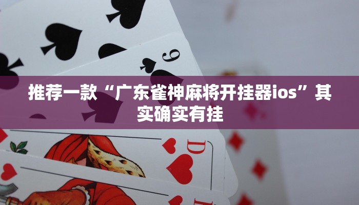 推荐一款“广东雀神麻将开挂器ios”其实确实有挂