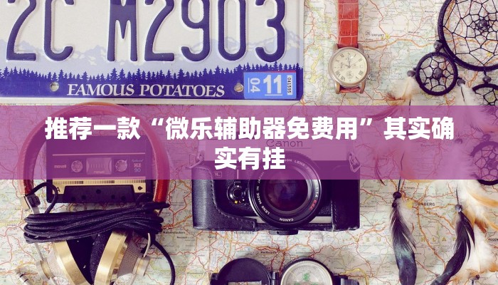 推荐一款“微乐辅助器免费用”其实确实有挂