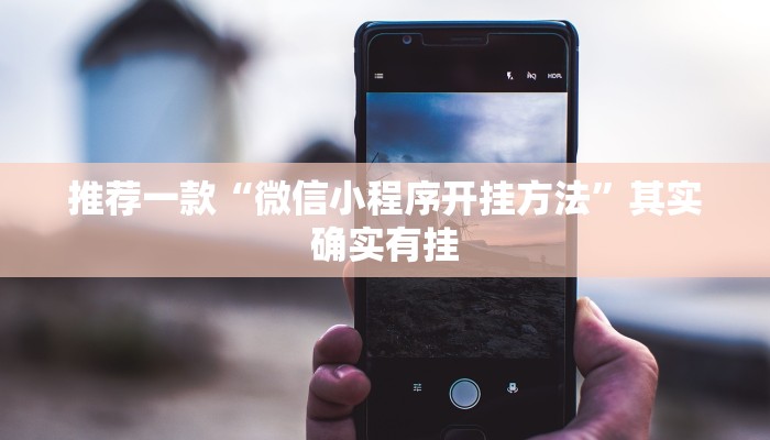 推荐一款“微信小程序开挂方法”其实确实有挂
