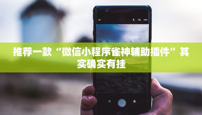 推荐一款“微信小程序雀神辅助插件”其实确实有挂
