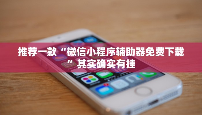 推荐一款“微信小程序辅助器免费下载”其实确实有挂