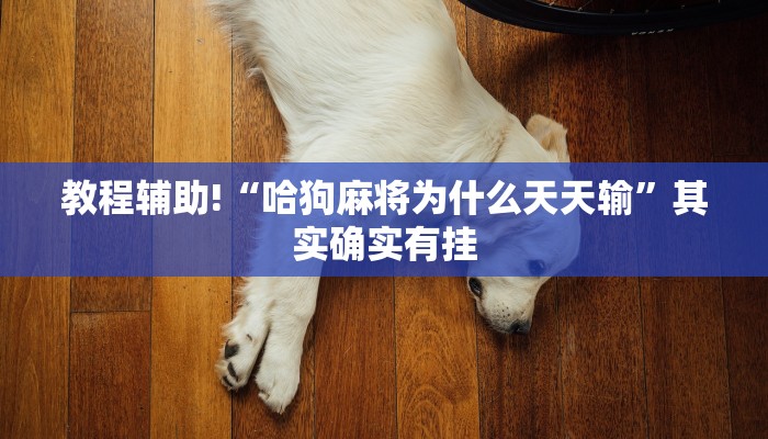 教程辅助!“哈狗麻将为什么天天输”其实确实有挂