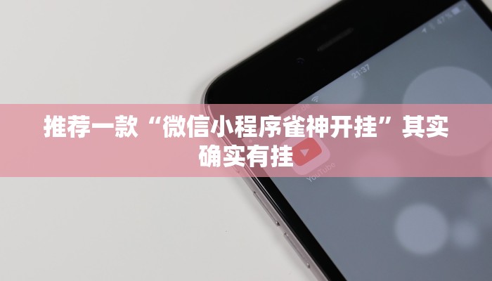 推荐一款“微信小程序雀神开挂”其实确实有挂