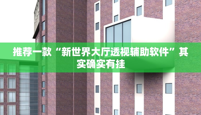 推荐一款“新世界大厅透视辅助软件”其实确实有挂