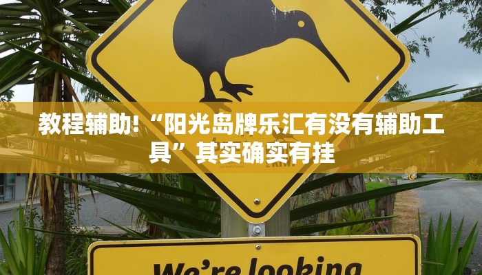 教程辅助!“阳光岛牌乐汇有没有辅助工具”其实确实有挂
