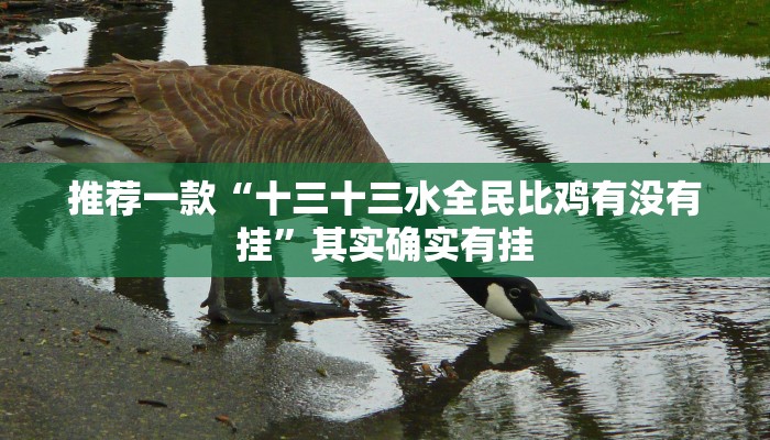 推荐一款“十三十三水全民比鸡有没有挂”其实确实有挂