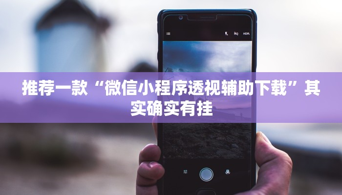 推荐一款“微信小程序透视辅助下载”其实确实有挂