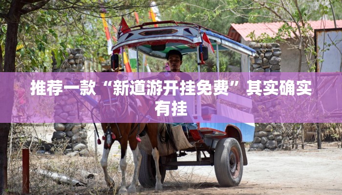 推荐一款“新道游开挂免费”其实确实有挂